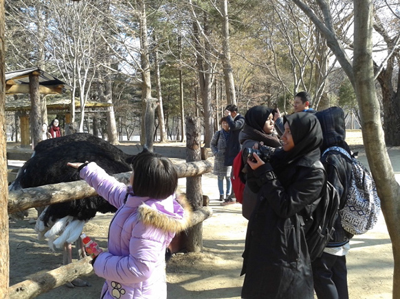 kore39
